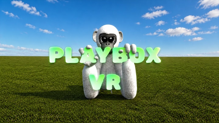 PlayboxVR