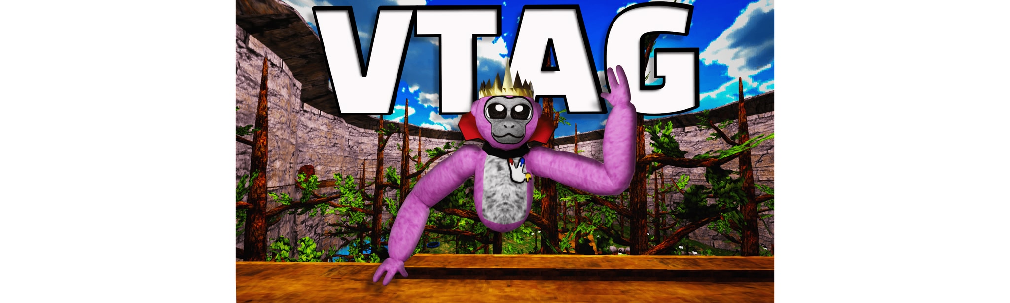 V TAG
