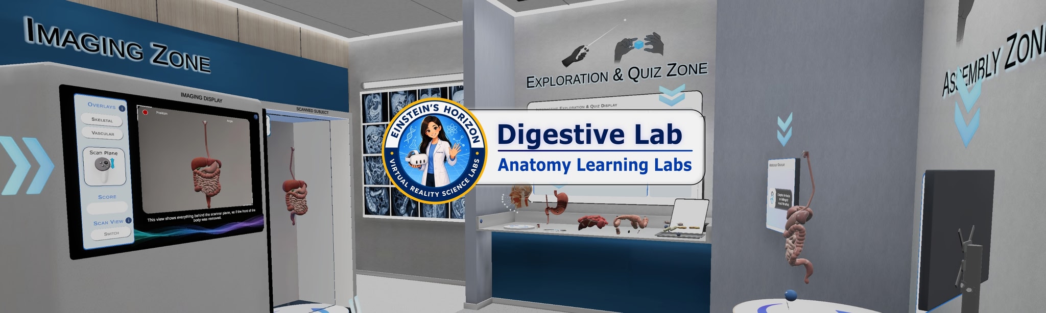 Anatomy Learning Labs: Digestive Lab