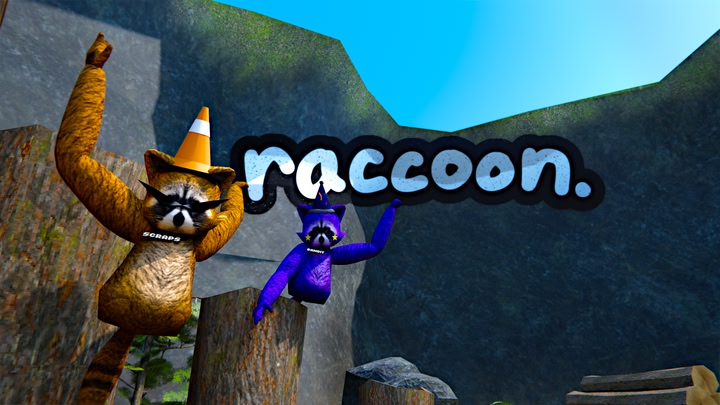Raccoon
