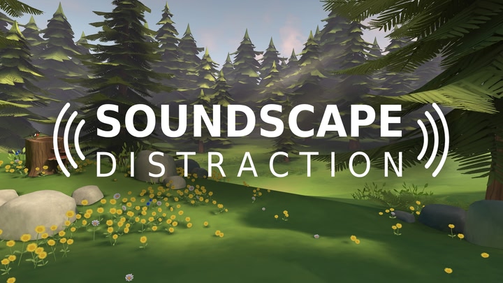 Soundscape Distraction
