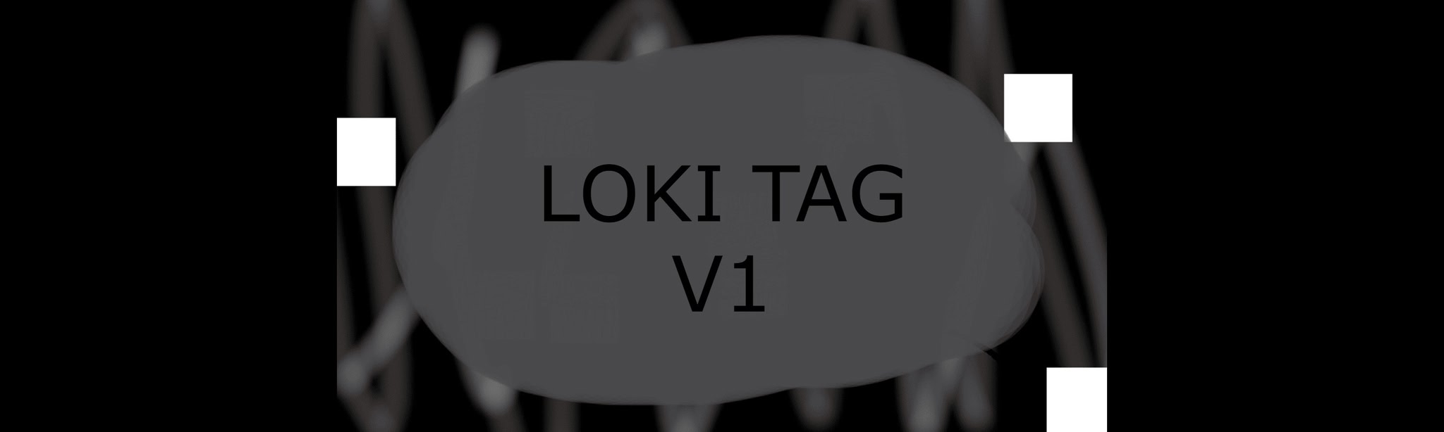 LokiTag