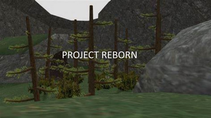 Project Reborn