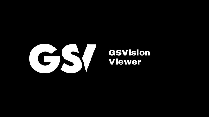 GSVision Viewer
