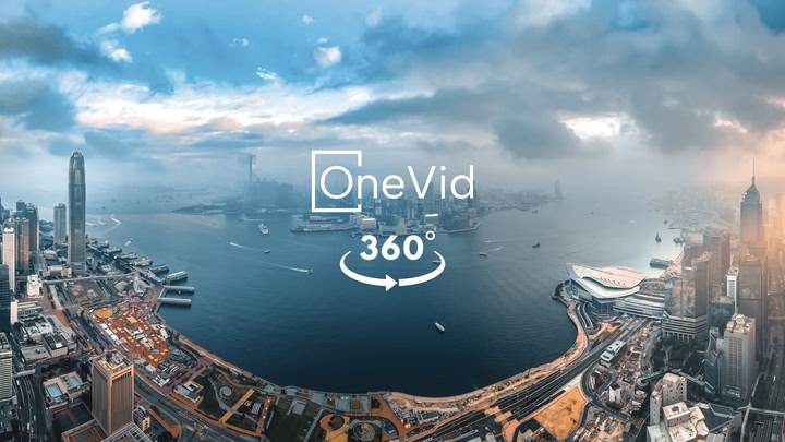 OneVid