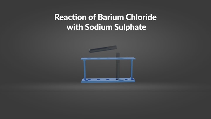Reaction of Barium Chloride with Sodium Sulphate