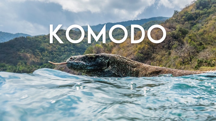 Komodo