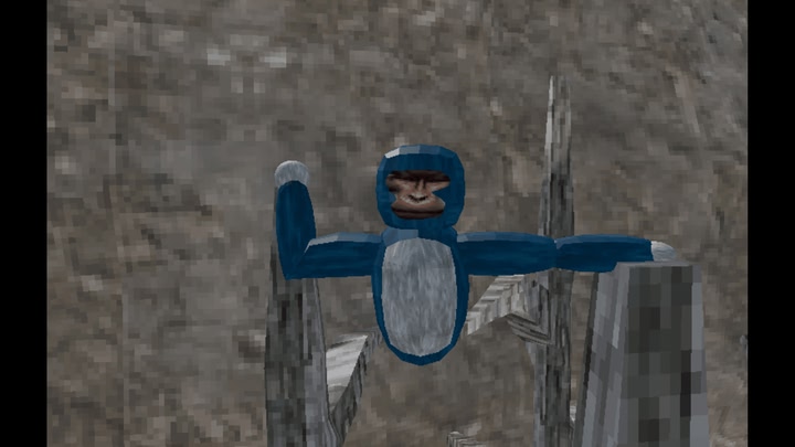 Jungle Monke