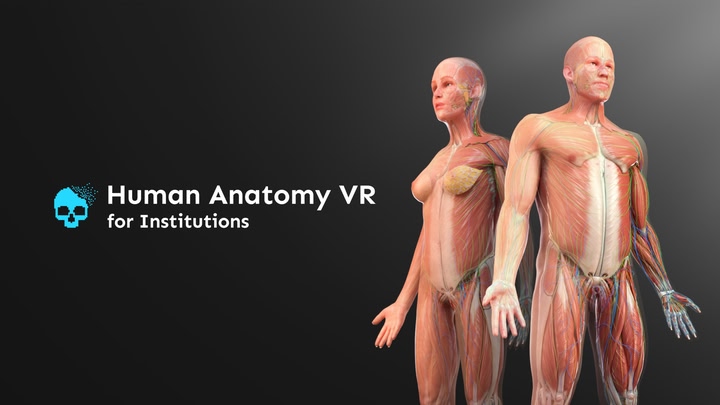 Human Anatomy VR for Institutions