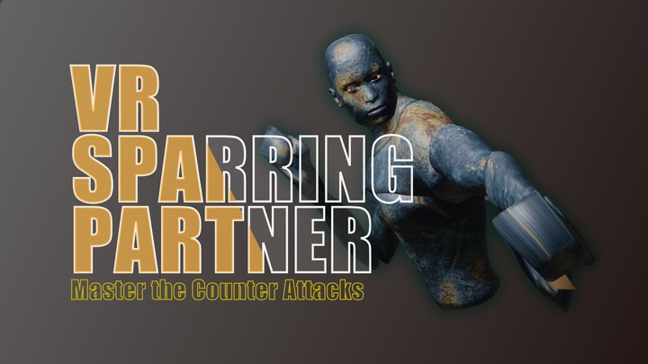 VR Sparring Partner