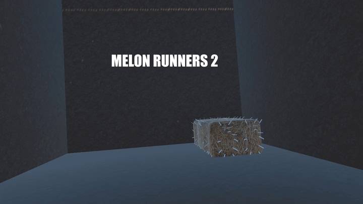 Melon Runners 2