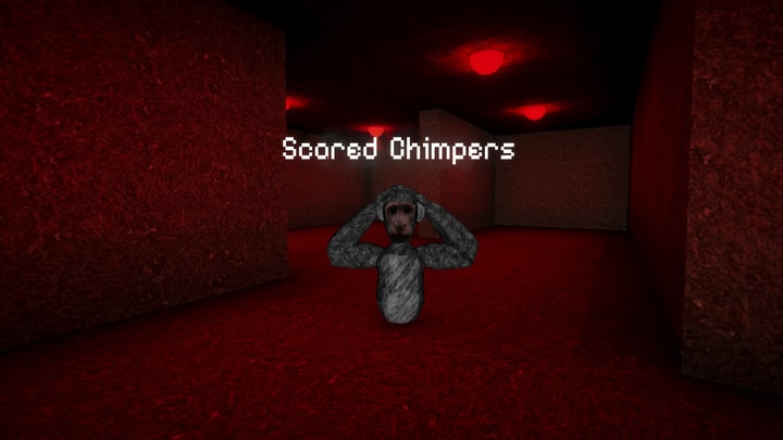 Scared Chimpers