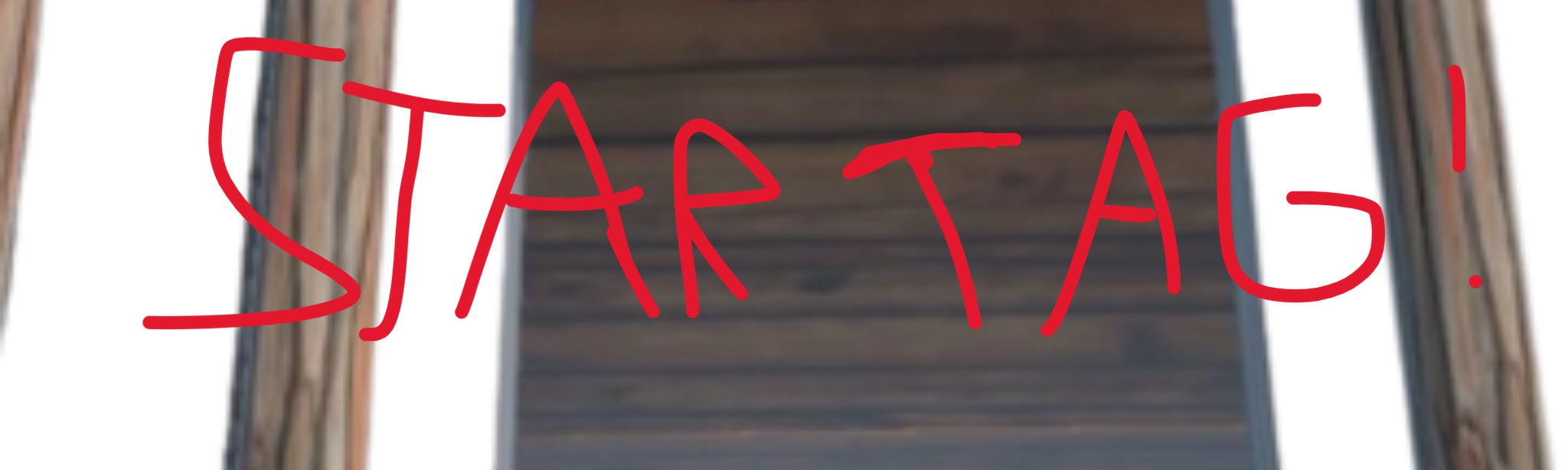 Star Taggers