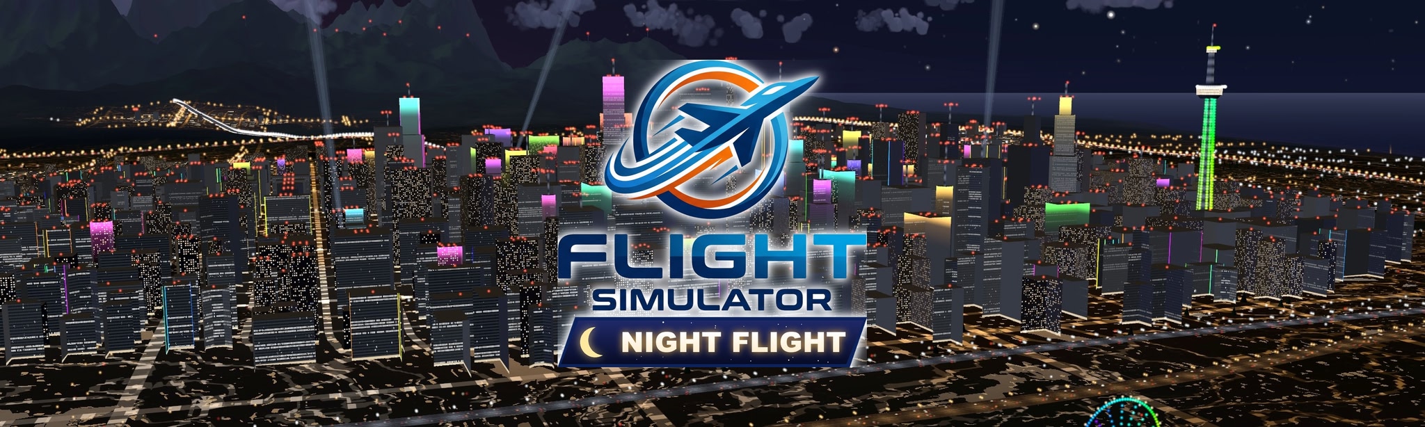 Flight Simulator Night Flight