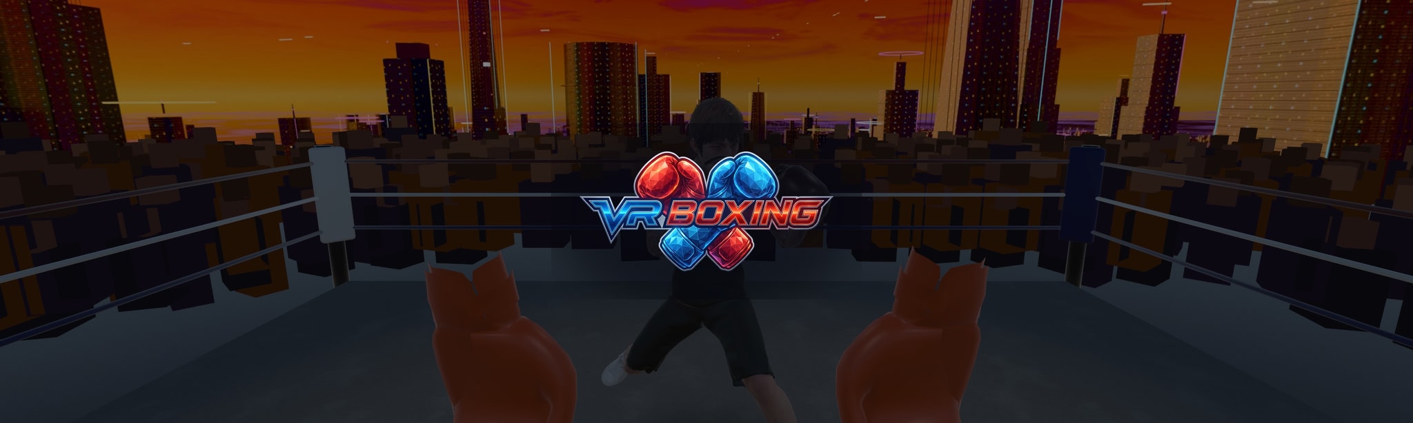 VR Boxing