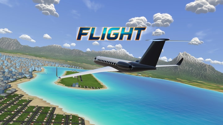 Flight