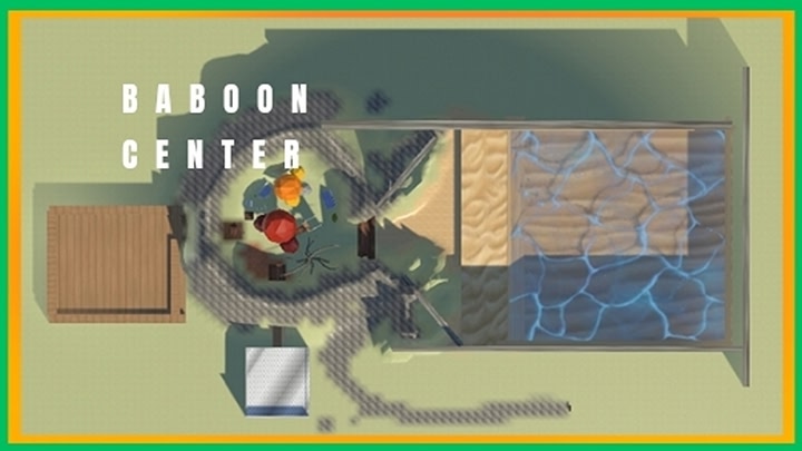 Baboon Center