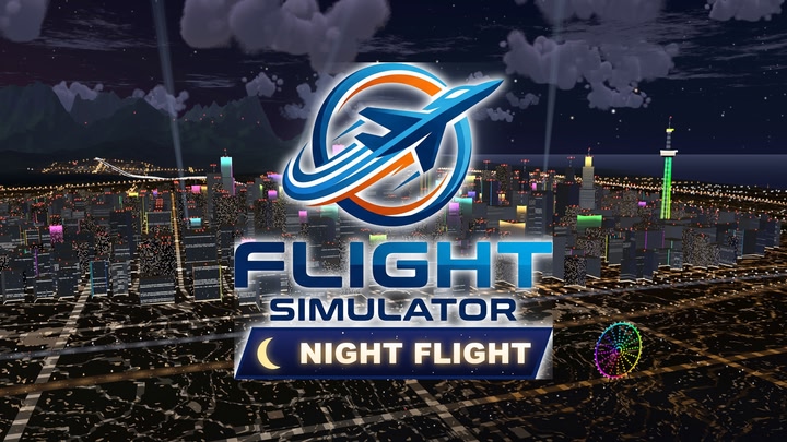Flight Simulator Night Flight