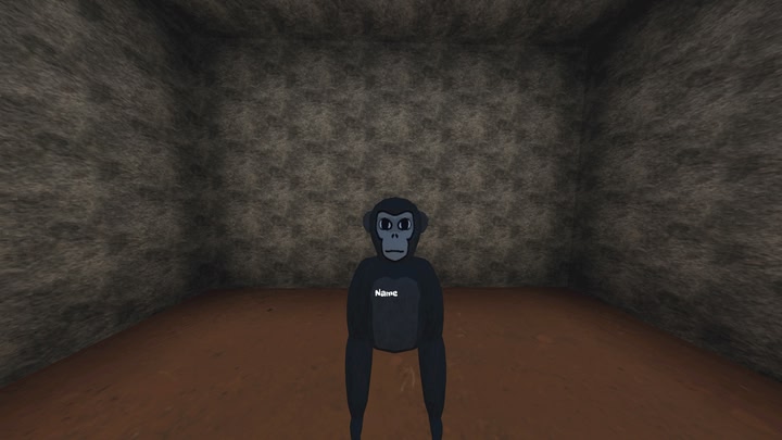 Fun Monkeys Place