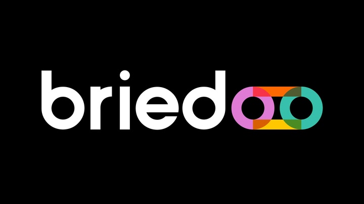 Briedoo VR Client