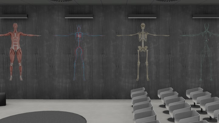 Exe Anatomy Academic