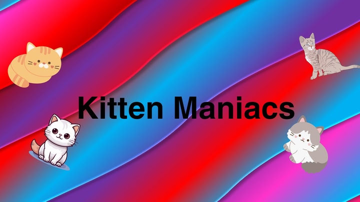 Kitten Maniacs