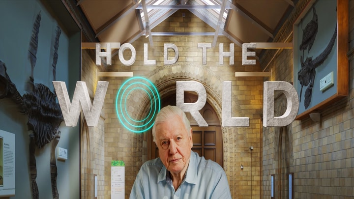 Hold the World