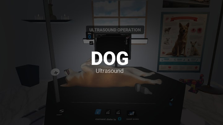 Dog Ultrasound