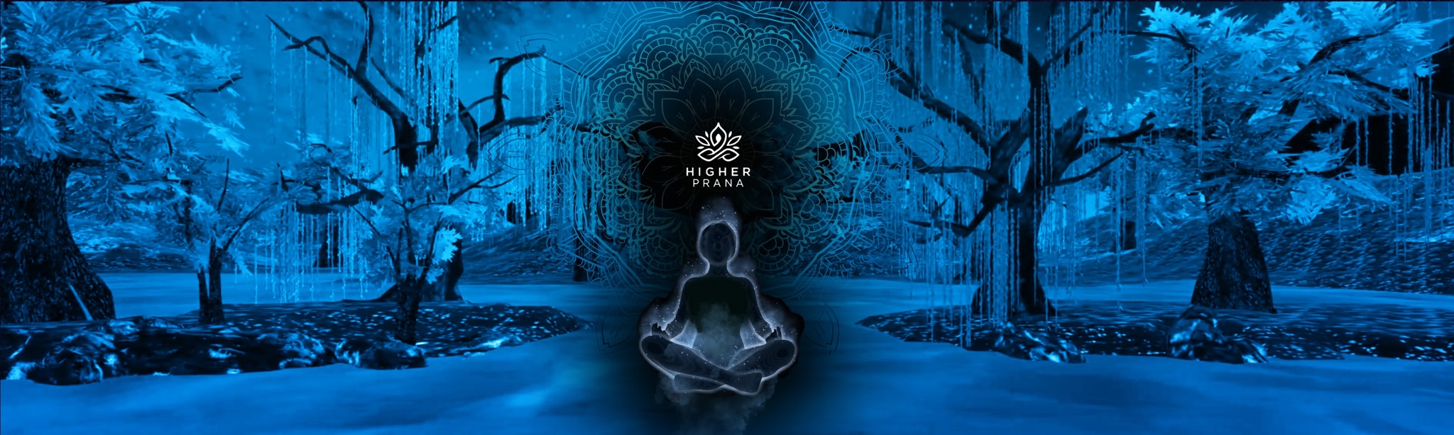 Higher Prana