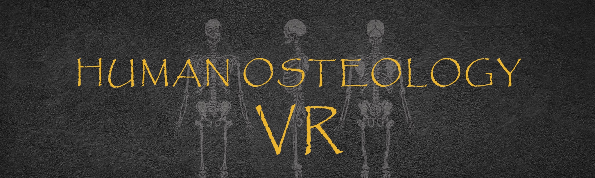 Human Osteology VR